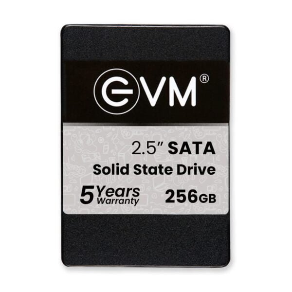 EVM 256GB SSD