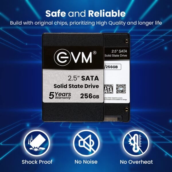 EVM 256GB SSD